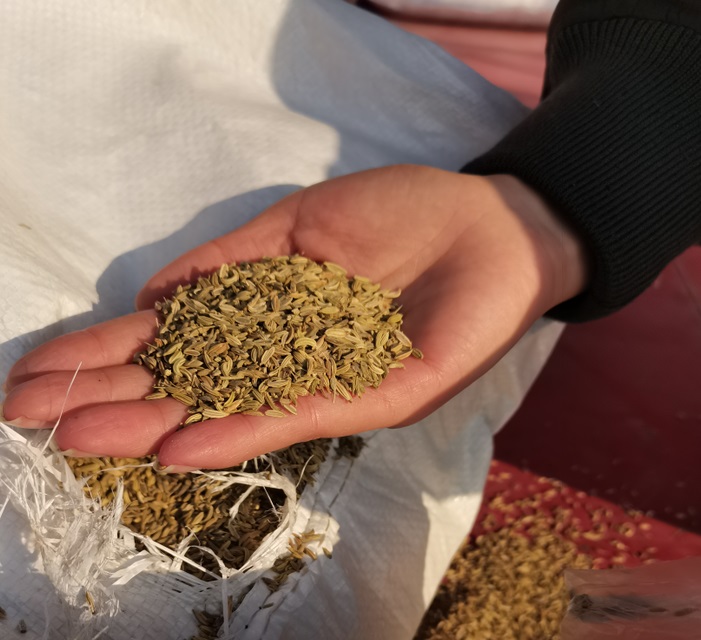 小茴香進口報關流程以及清關所需資料、手續